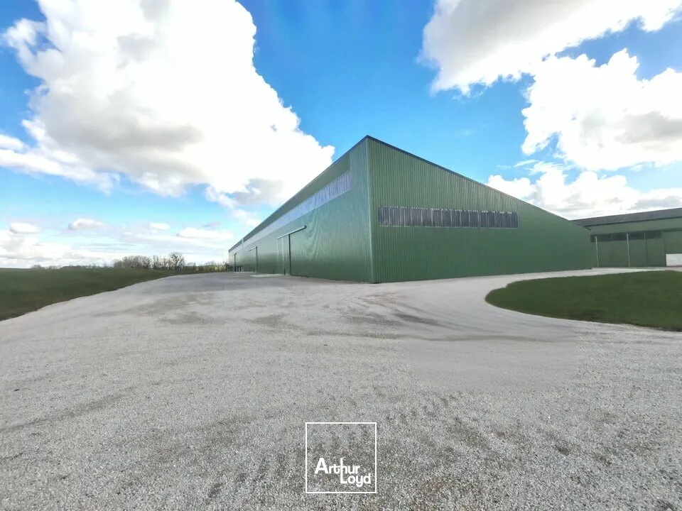 Locaux d'activité & Entrepôts - Location - ÉPENSE - 51330 - 2100-4500 - 7665157