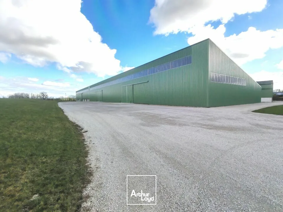 Locaux d'activité & Entrepôts - Location - ÉPENSE - 51330 - 2100-4500 - 7665153