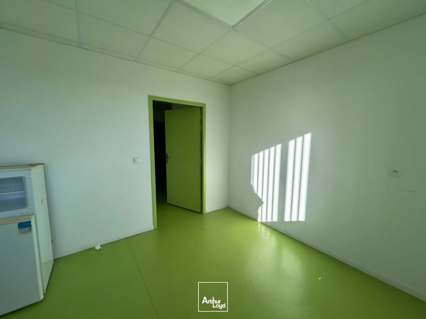 Locaux d'activité & Entrepôts - Location - ORCHIES - 59310 - 580-580 - 7665650