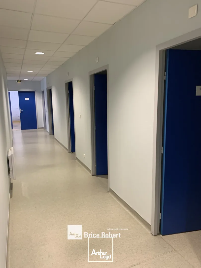 Locaux d'activité & Entrepôts - Location - LYON - 69007 - 364-364 - 7665880