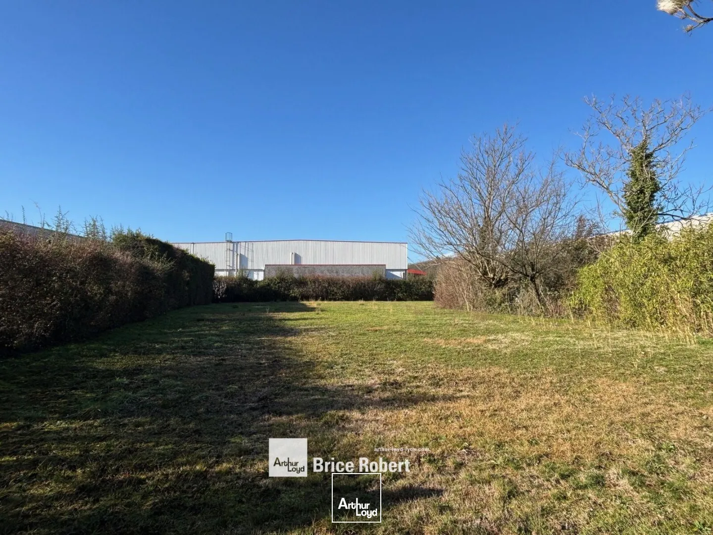 Locaux d'activité & Entrepôts - Location - MONTAGNY - 69700 - 2050-2050 - 7665914