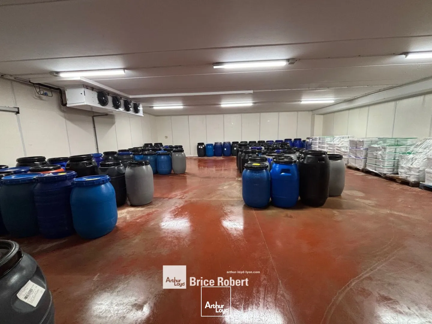 Locaux d'activité & Entrepôts - Location - MONTAGNY - 69700 - 2050-2050 - 7665918