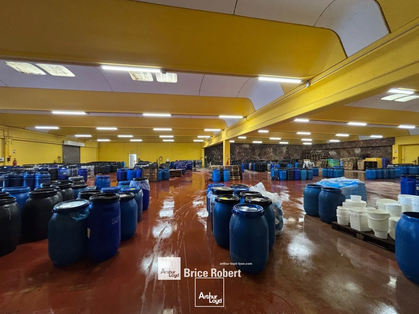 Locaux d'activité & Entrepôts - Location - MONTAGNY - 69700 - 2050-2050 - 7665919