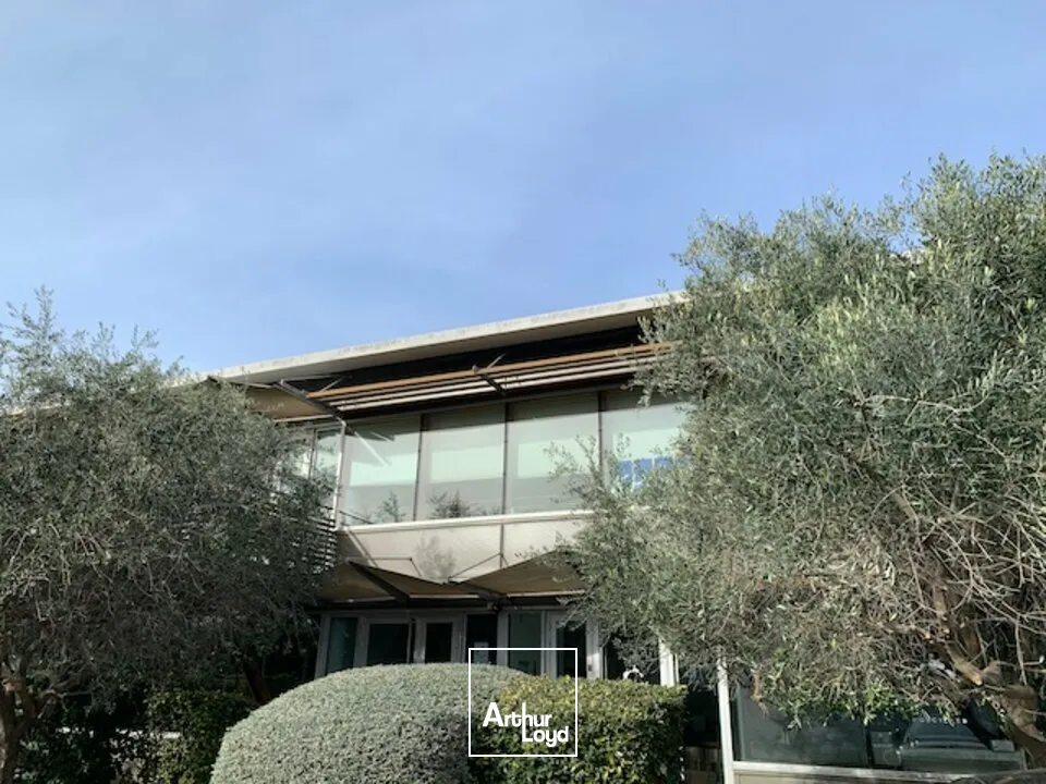 Bureaux - Location - AVIGNON - 84000 - 554-554 - 7665966