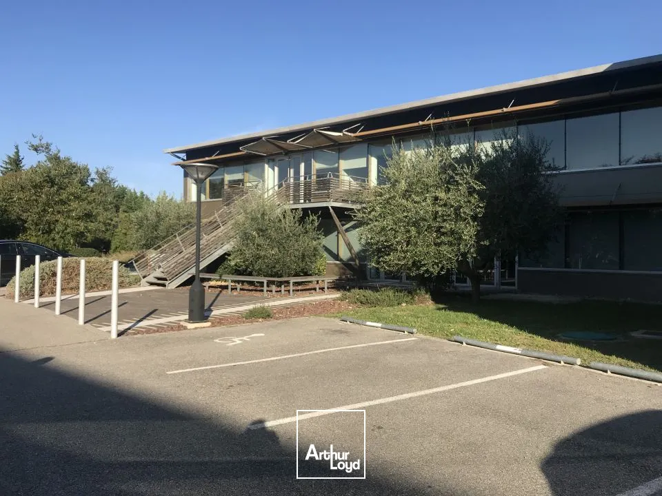 Bureaux - Location - AVIGNON - 84000 - 355.5-355.5 - 7665968