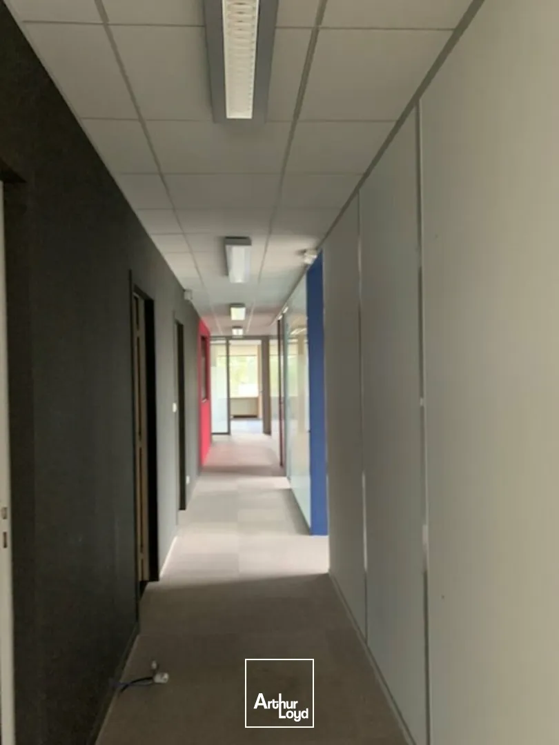 Bureaux - Location - AVIGNON - 84000 - 355.5-355.5 - 7665975