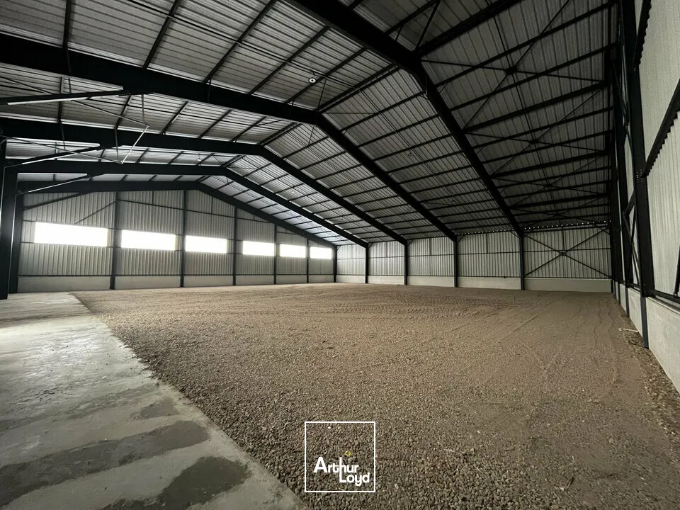 Locaux d'activité & Entrepôts - Location - HIPSHEIM - 67150 - 900-900 - 7666002