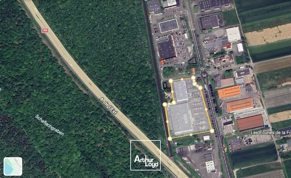 Locaux commerciaux - Vente - BRUMATH - 67170 - 8231-8231 - 7666007