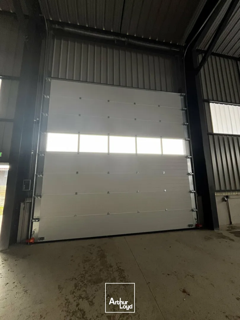 Locaux d'activité & Entrepôts - Location - HIPSHEIM - 67150 - 900-900 - 7666003