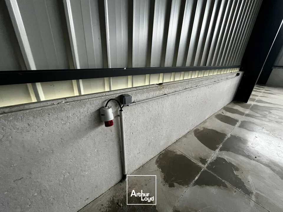 Locaux d'activité & Entrepôts - Location - HIPSHEIM - 67150 - 900-900 - 7666005