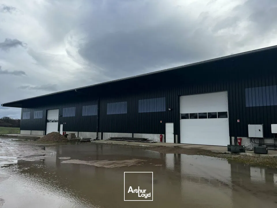 Locaux d'activité & Entrepôts - Location - HIPSHEIM - 67150 - 900-900 - 7666006