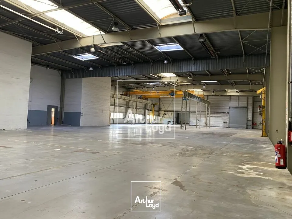 Locaux d'activité & Entrepôts - Location - LISSES - 91090 - 2816-2816 - 7666058