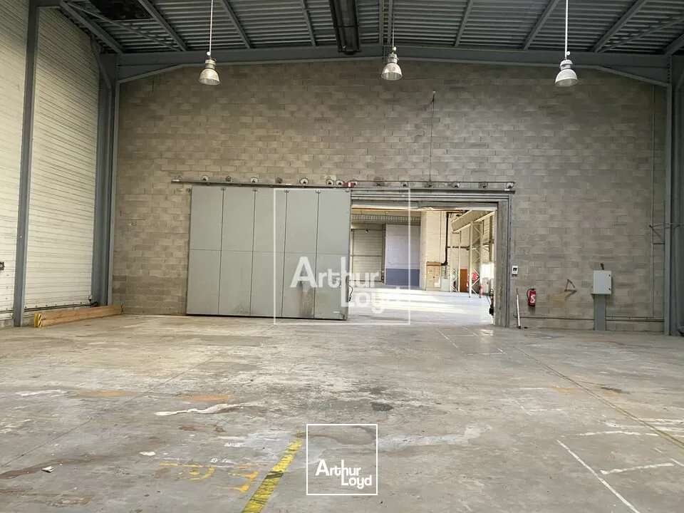 Locaux d'activité & Entrepôts - Location - LISSES - 91090 - 2816-2816 - 7666053