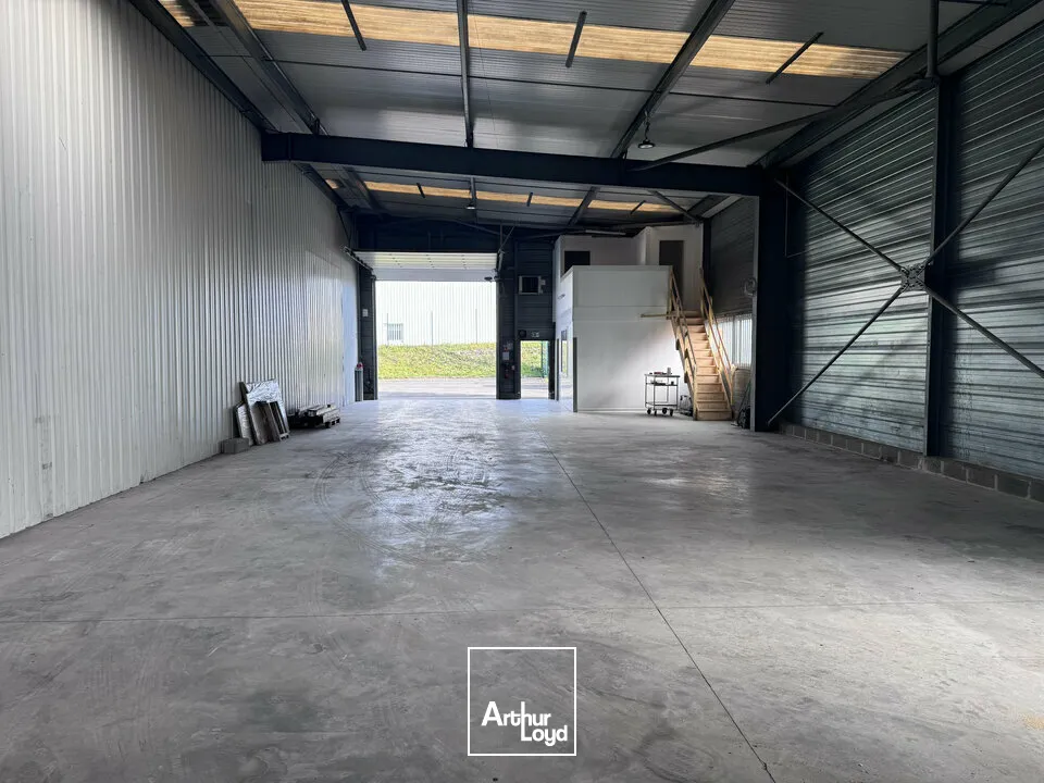 Locaux d'activité & Entrepôts - Location - L'ISLE-D'ESPAGNAC - 16340 - 300-300 - 7666190