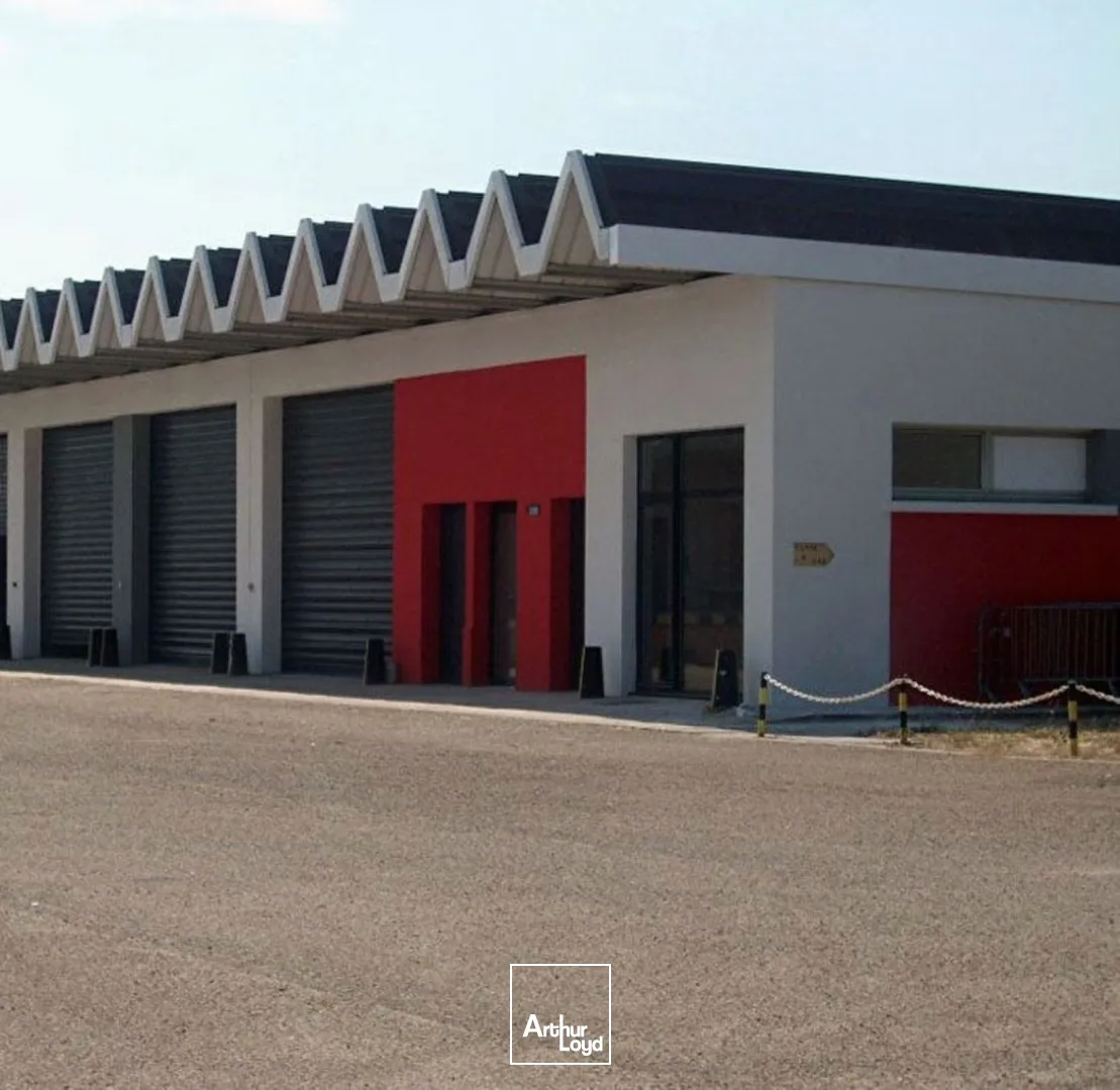 Locaux d'activité & Entrepôts - Location - VENDARGUES - 34740 - 92-92 - 7666197