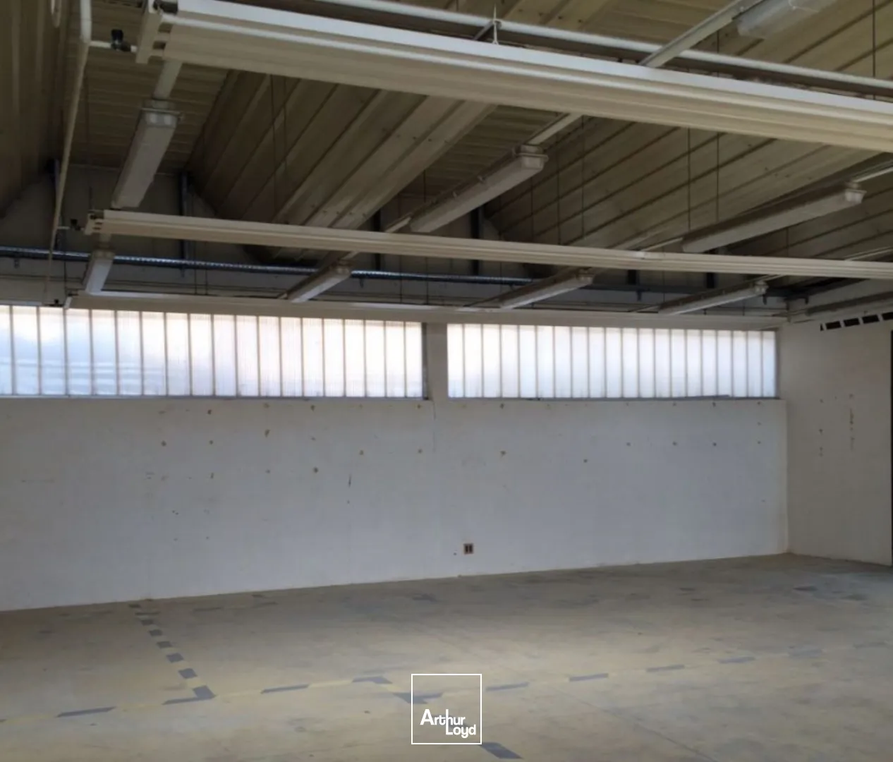 Locaux d'activité & Entrepôts - Location - VENDARGUES - 34740 - 225-225 - 7666199