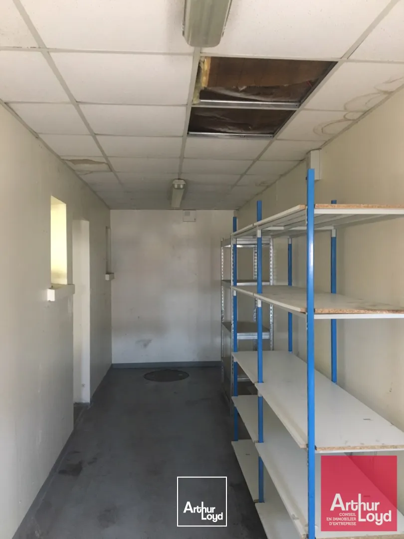 Locaux d'activité & Entrepôts - Location - VENDARGUES - 34740 - 148-148 - 7666202