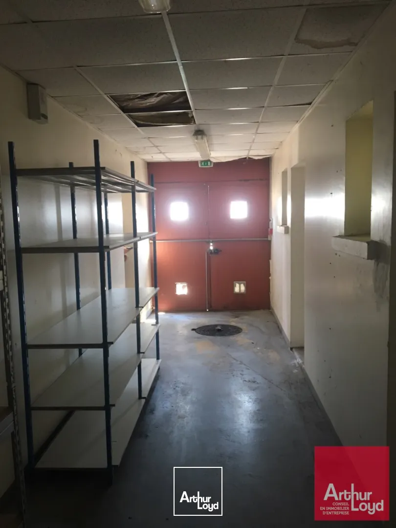 Locaux d'activité & Entrepôts - Location - VENDARGUES - 34740 - 148-148 - 7666201
