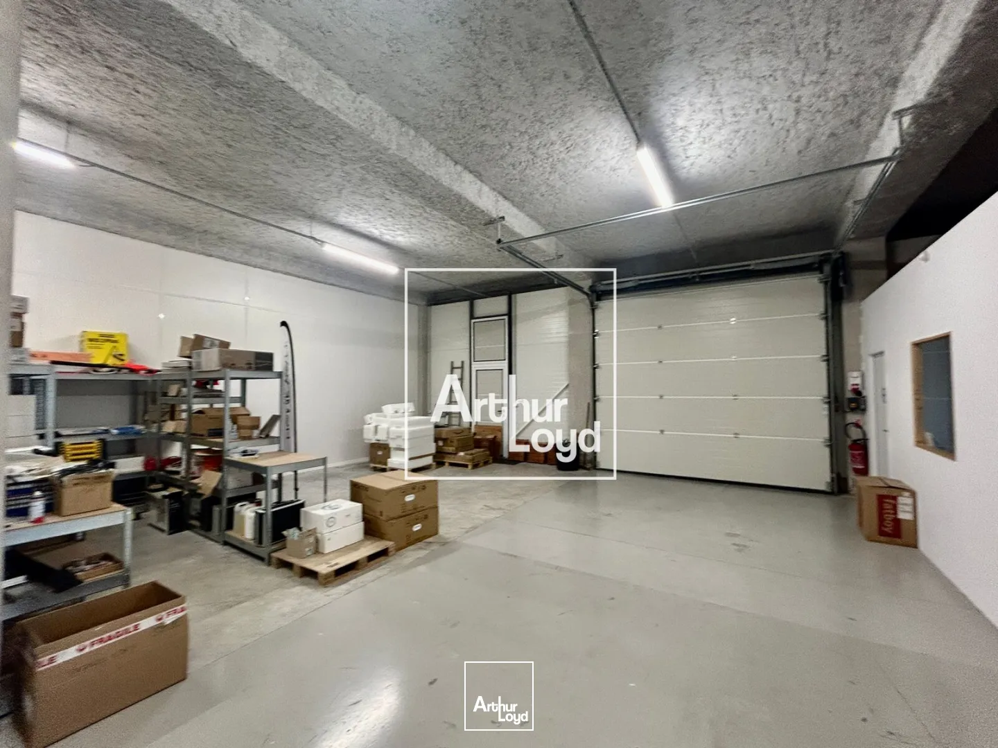 Locaux d'activité & Entrepôts - Location - VENDARGUES - 34740 - 190-190 - 7666207