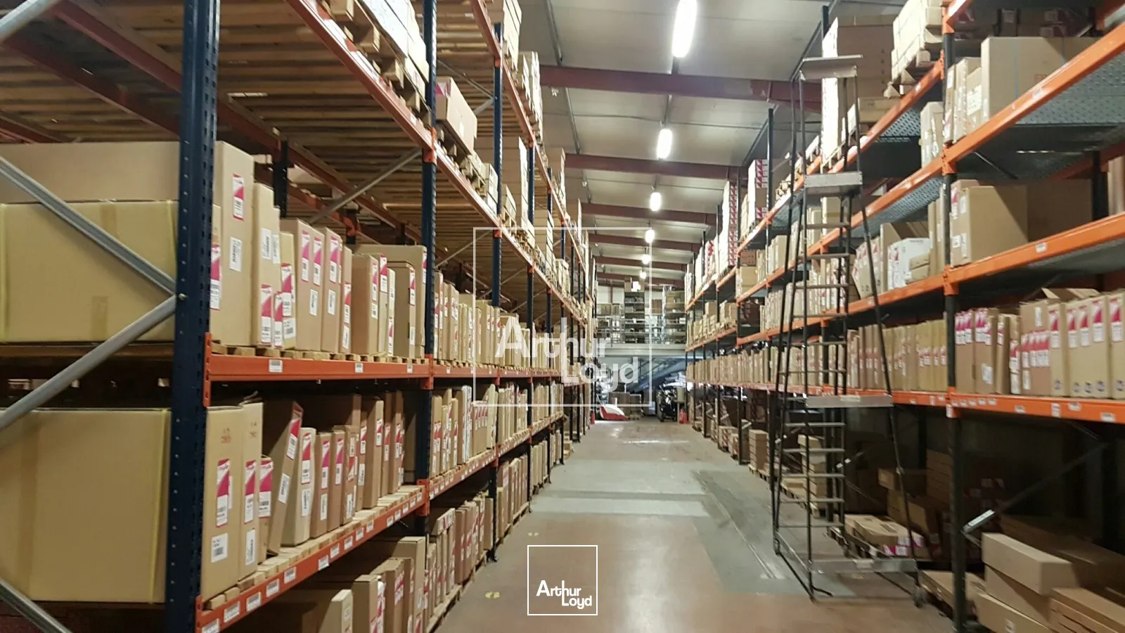 Locaux d'activité & Entrepôts - Location - SASSENAGE - 38360 - 1962.1-1962.1 - 7666279