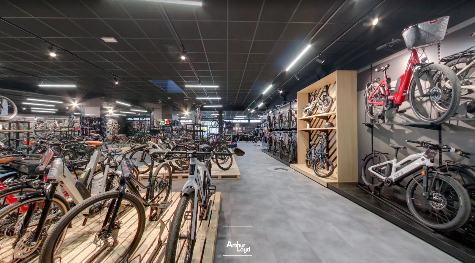 Locaux commerciaux - Location - SAINT HERBLAIN - 44800 - 962-962 - 7666435