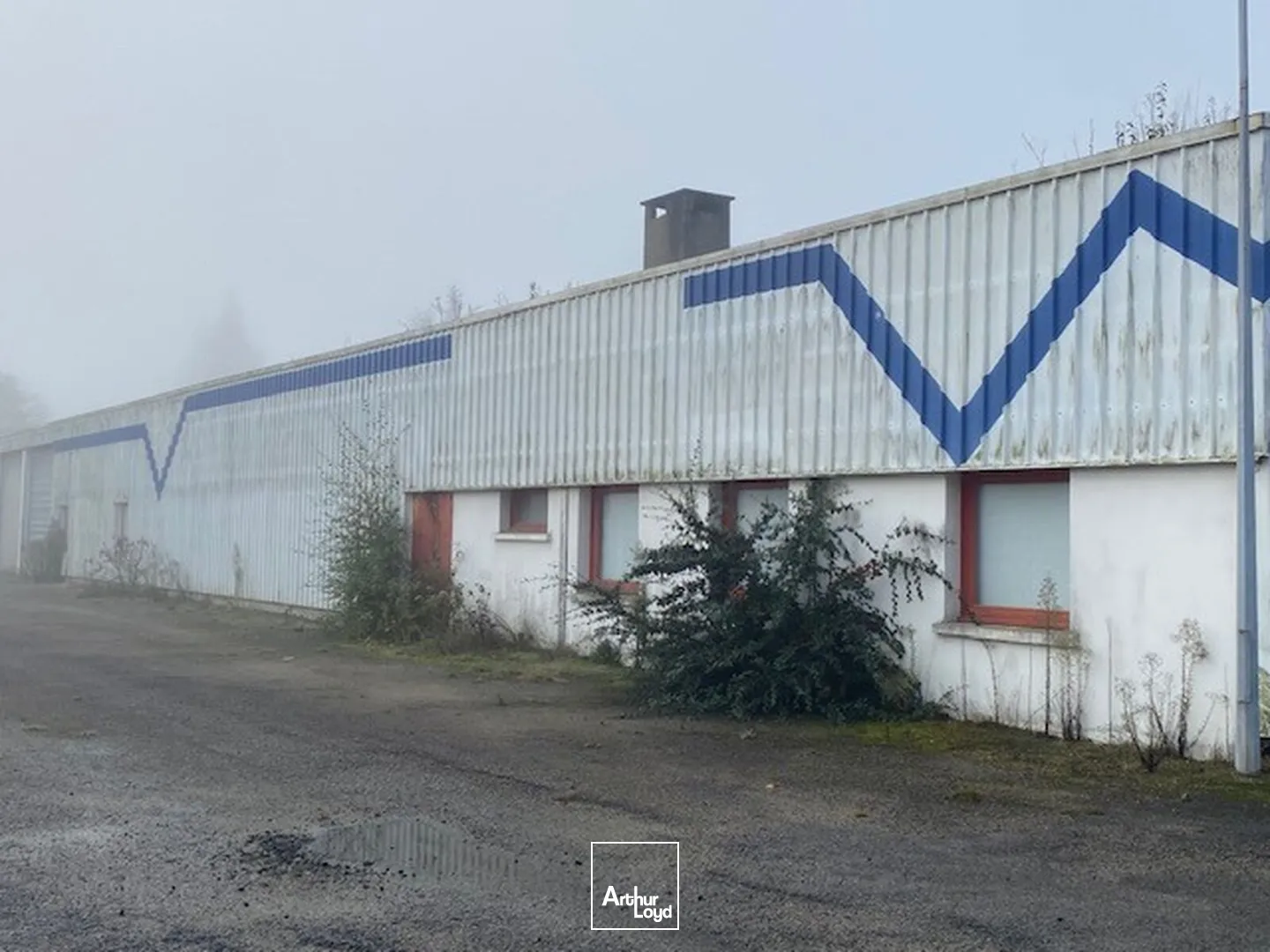 Locaux d'activité & Entrepôts - Vente - LOUDEAC - 22600 - 1000-1000 - 7666469