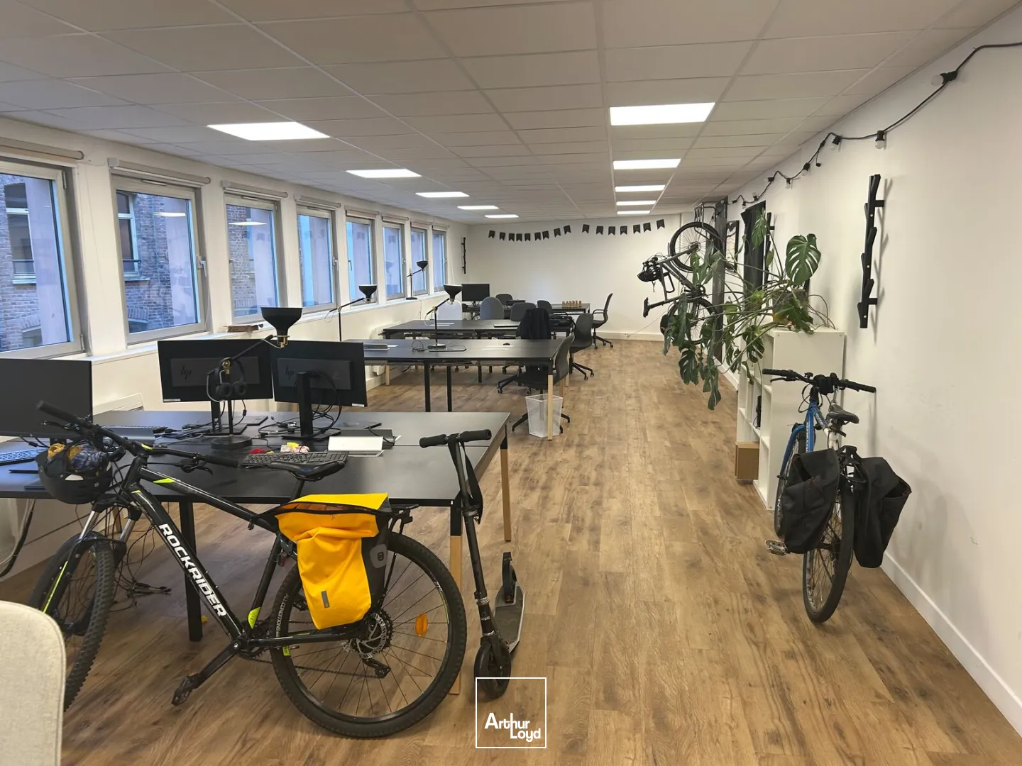 Bureaux - Location - LILLE - 59000 - 315-315 - 7666558