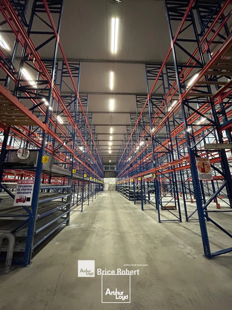 Locaux d'activité & Entrepôts - Vente - CIVRIEUX D'AZERGUES - 69380 - 5468-5468 - 7666728