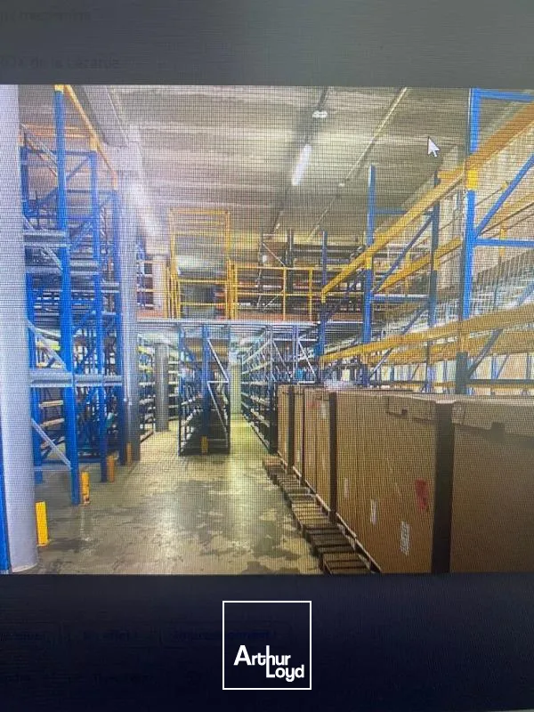 Locaux d'activité & Entrepôts - Location - Le Lamentin - 97232 - 365-365 - 7666753