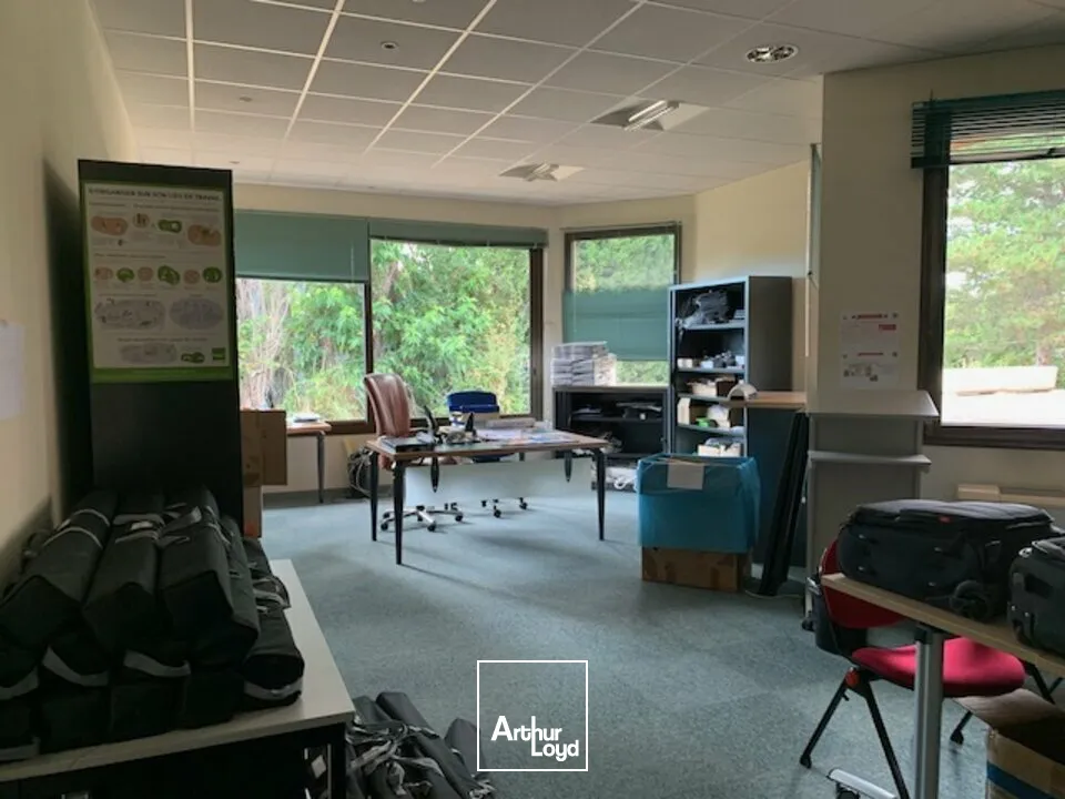 Bureaux - Vente - AVIGNON - 84140 - 911-911 - 7667657