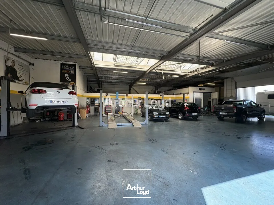 Locaux commerciaux - Cession - WISSEMBOURG - 67160 - 645-645 - 7667710