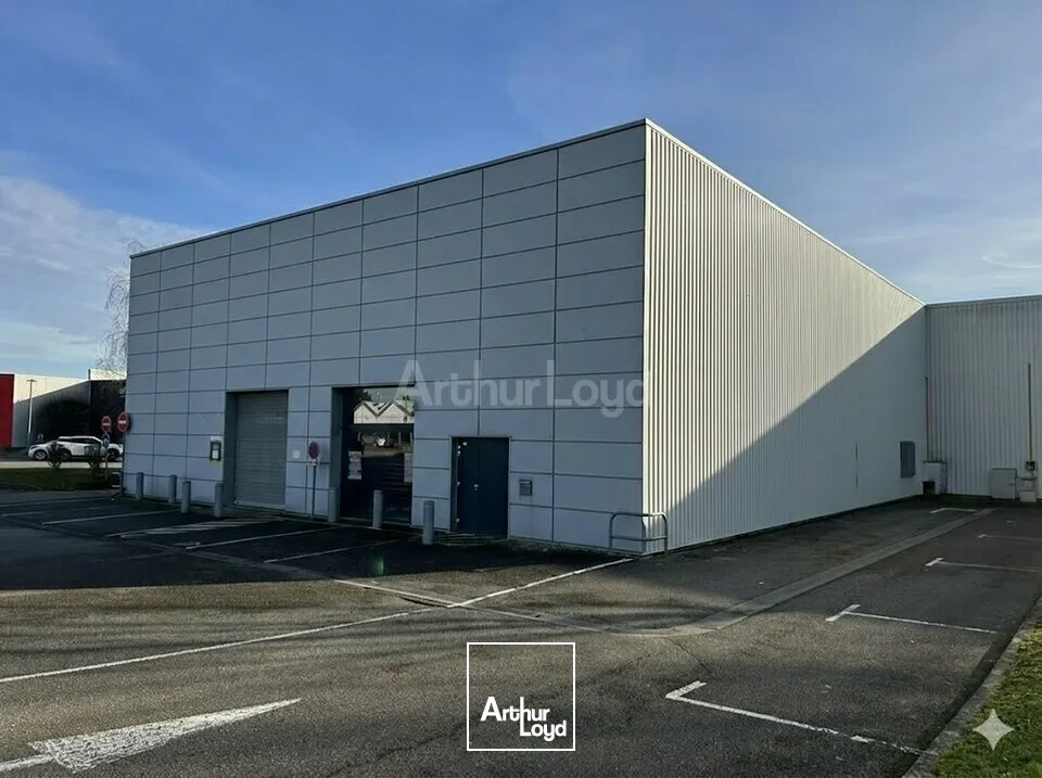 Locaux commerciaux - Location - WITTENHEIM - 68270 - 502-502 - 7667714
