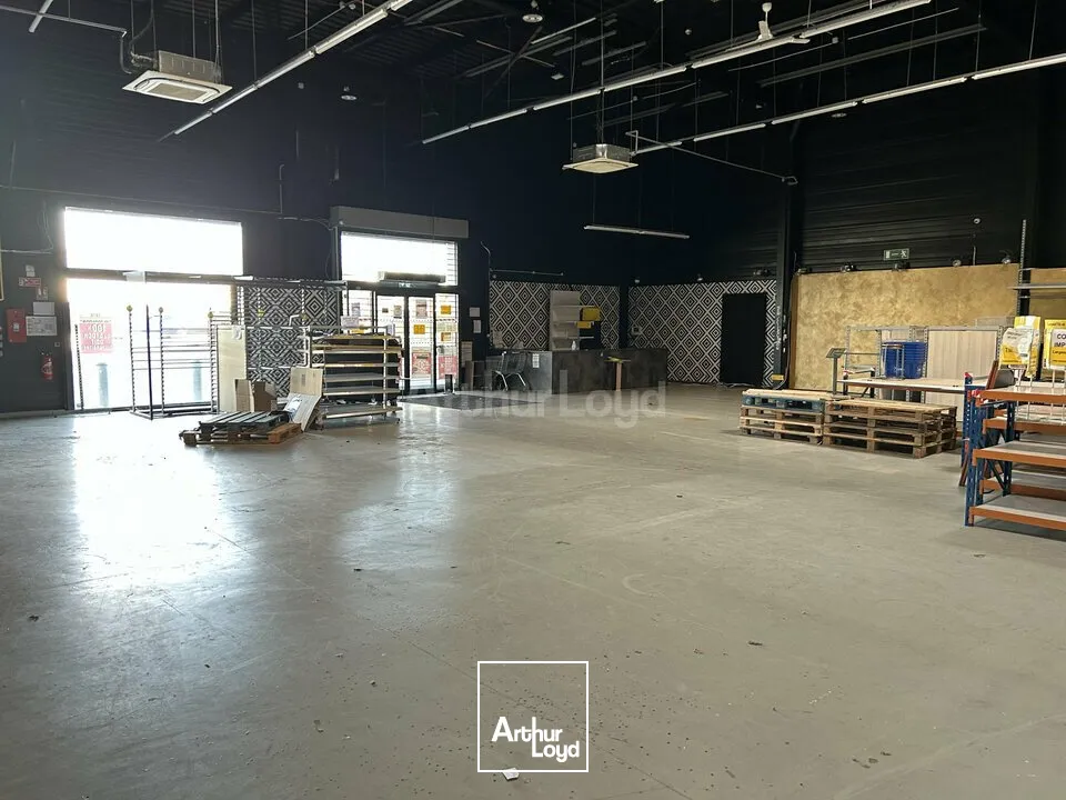 Locaux commerciaux - Location - WITTENHEIM - 68270 - 502-502 - 7667715