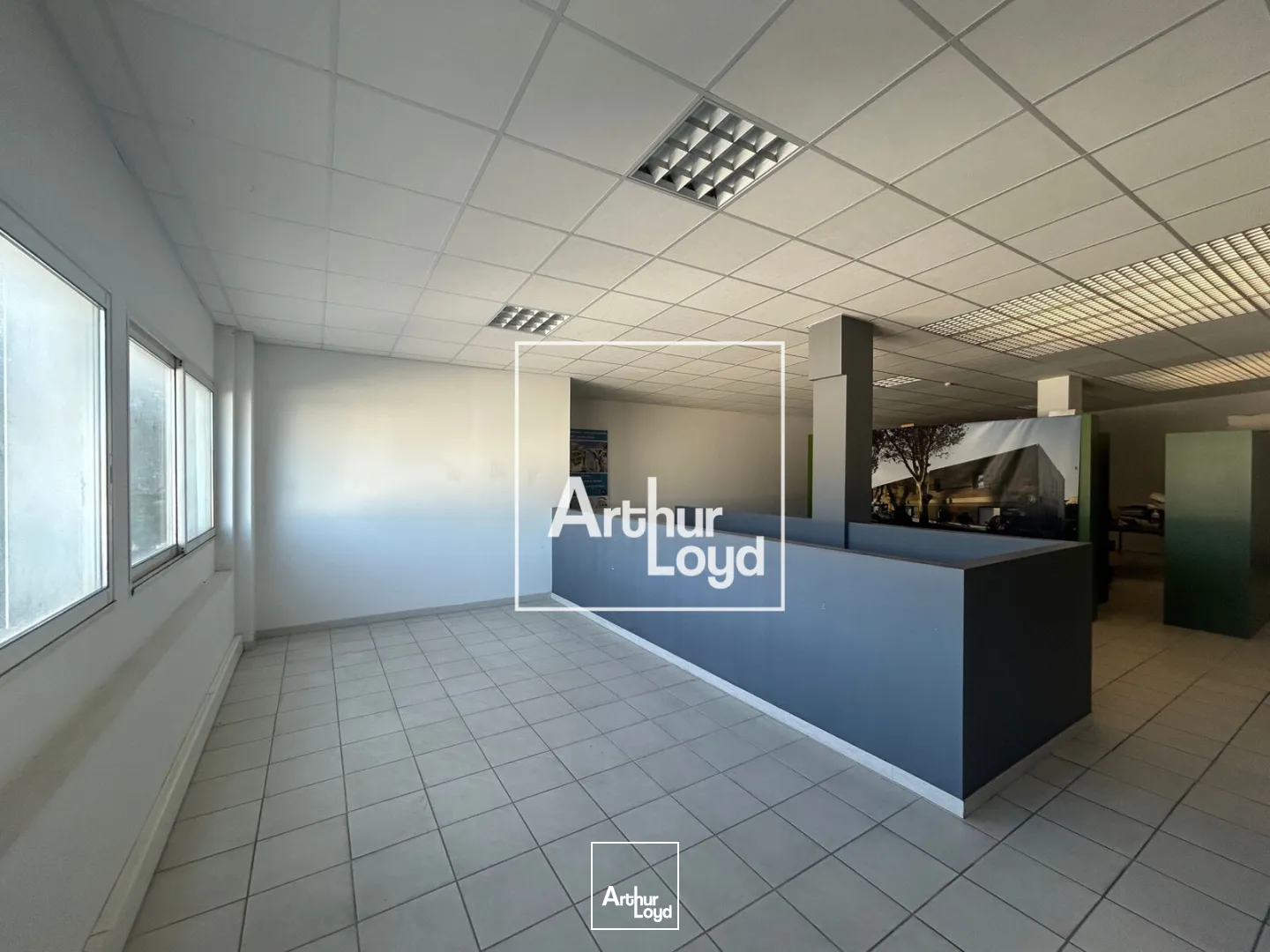 Locaux commerciaux - Location - CASTELNAU LE LEZ - 34170 - 270-591 - 7667840