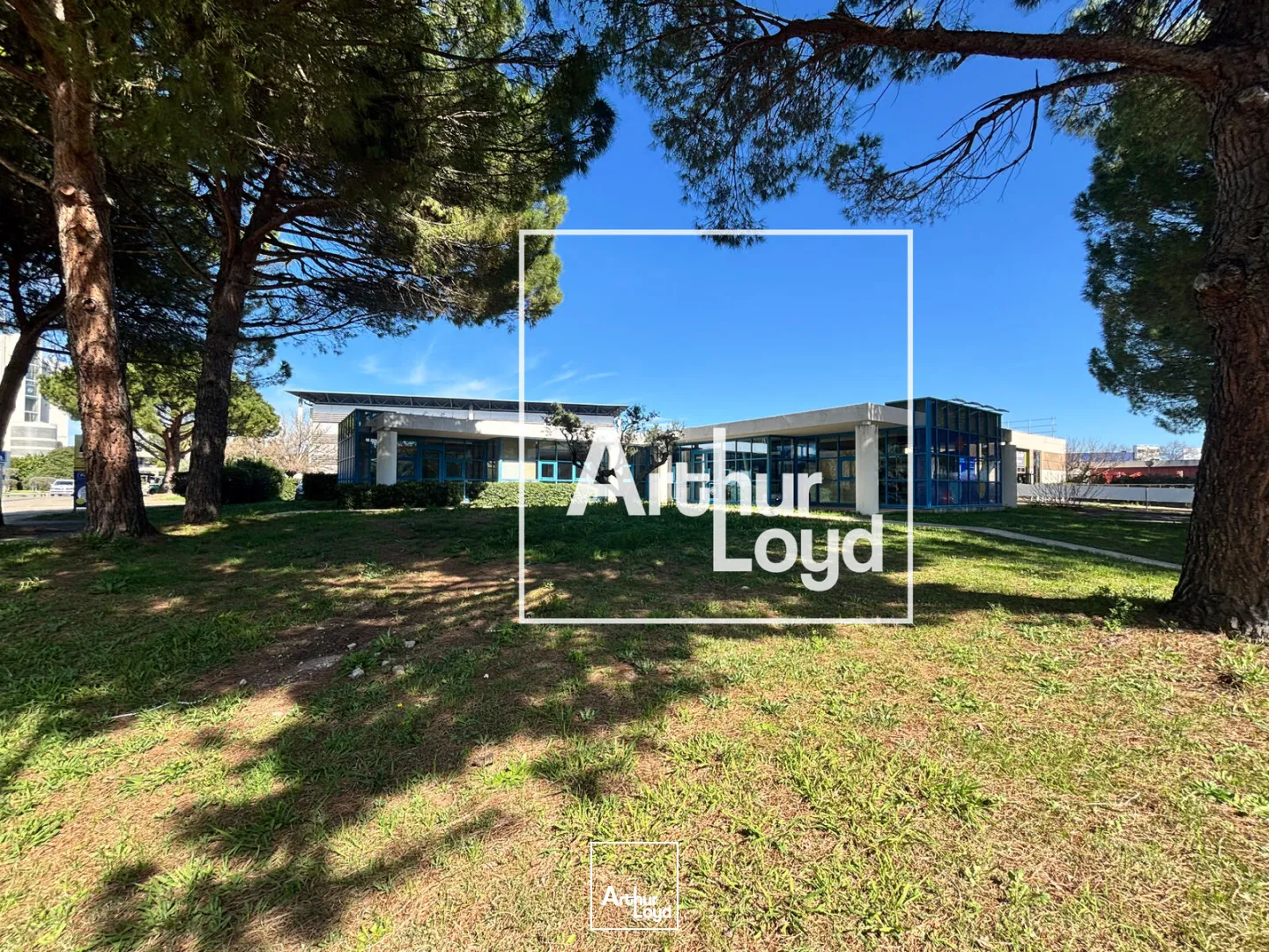 Locaux commerciaux - Location - NIMES - 30900 - 773-773 - 7667897