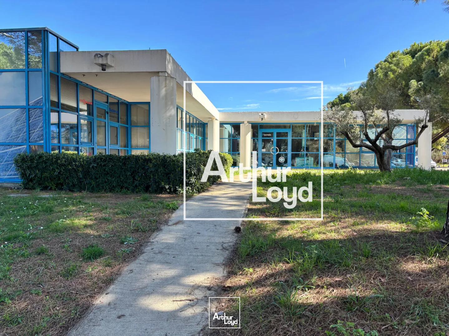 Locaux commerciaux - Location - NIMES - 30900 - 773-773 - 7667899