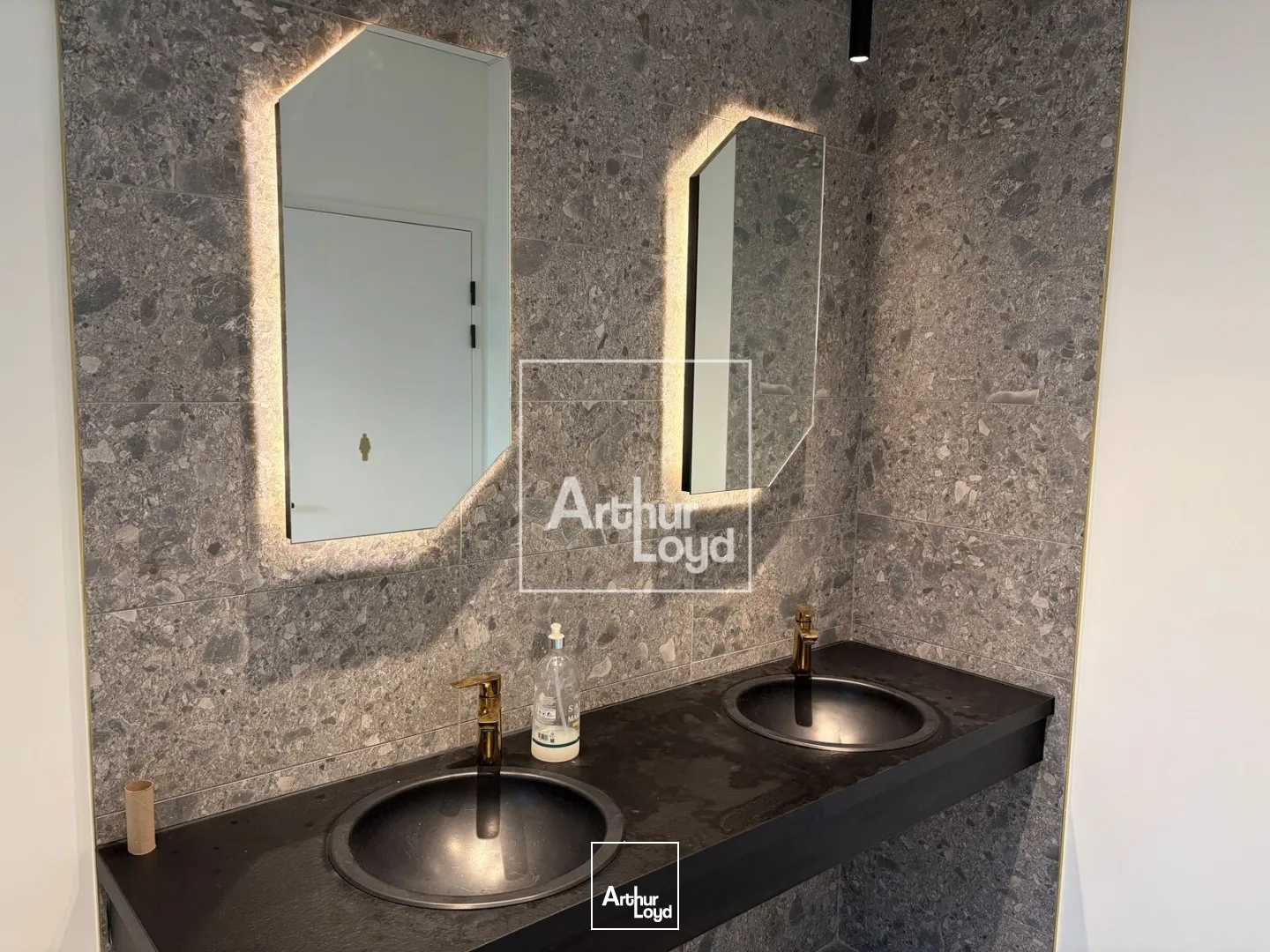 Bureaux - Vente - GRENOBLE - 38000 - 216.93-3685.56 - 7668006