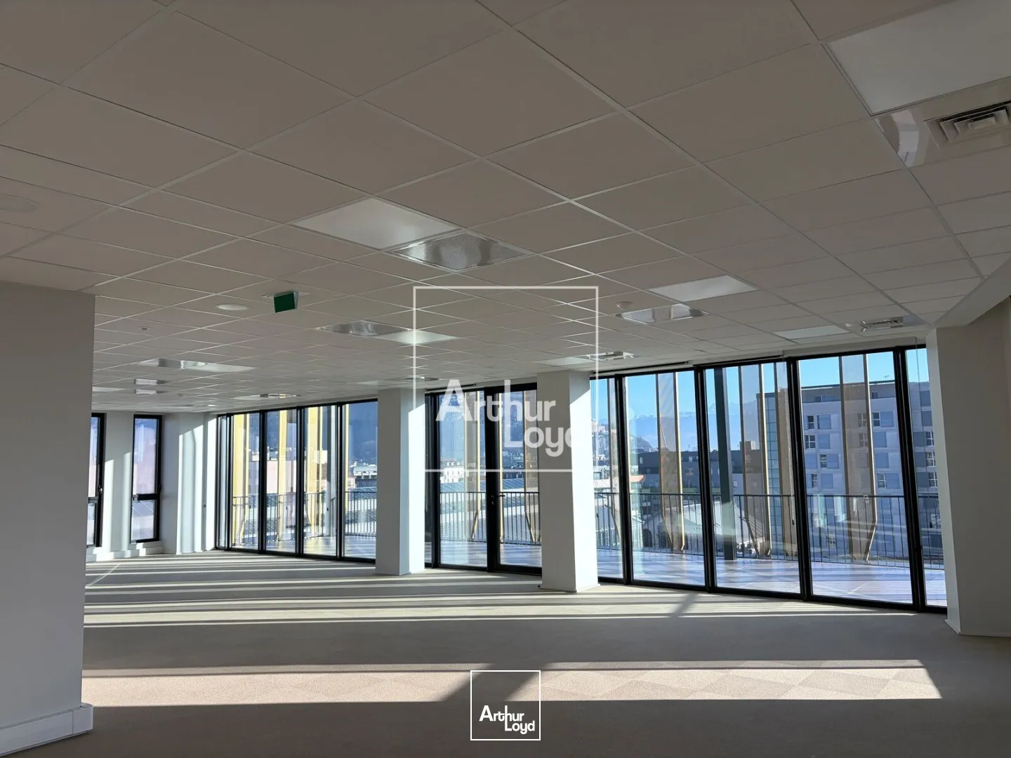 Bureaux - Vente - GRENOBLE - 38000 - 216.93-3685.56 - 7668009