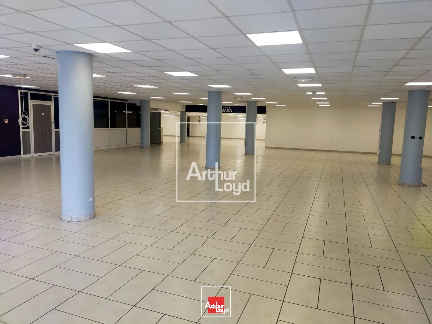 Locaux commerciaux - Vente - SAINT MARTIN LE VINOUX - 38950 - 553.7-553.7 - 7668051