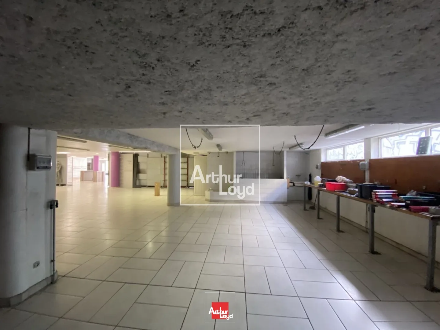 Locaux commerciaux - Vente - SAINT MARTIN LE VINOUX - 38950 - 553.7-553.7 - 7668055