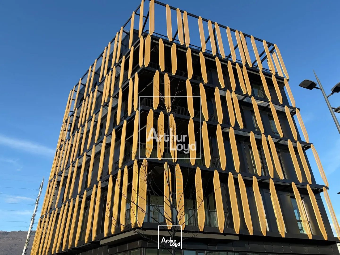 Bureaux - Location - GRENOBLE - 38000 - 216.93-3685.56 - 7668190