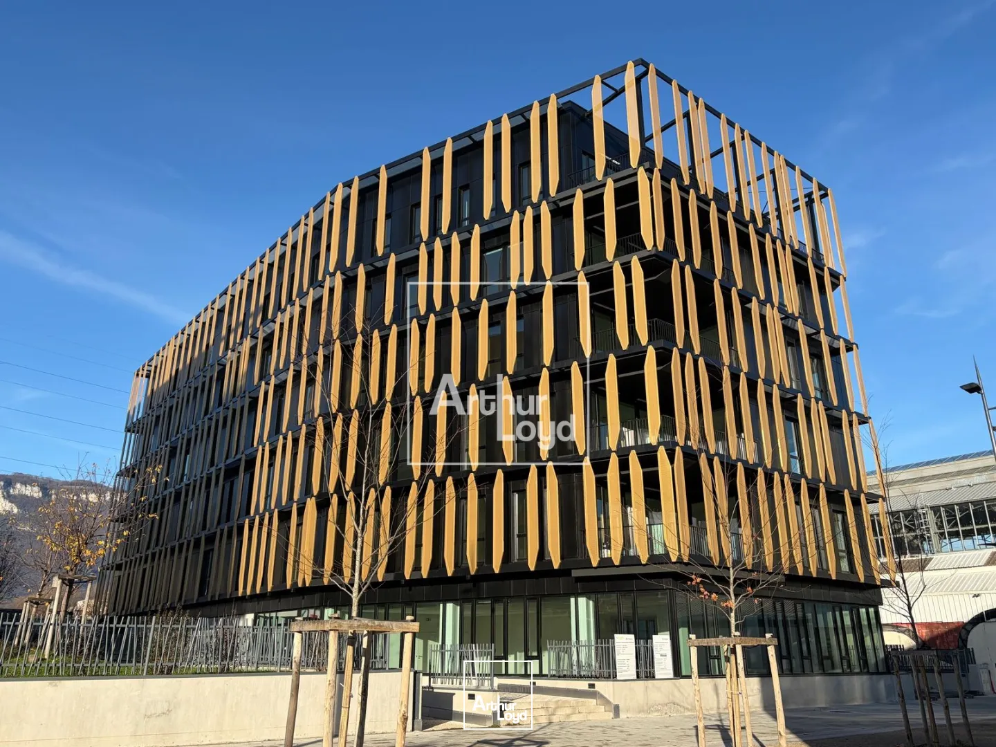 Bureaux - Location - GRENOBLE - 38000 - 216.93-3685.56 - 7668189