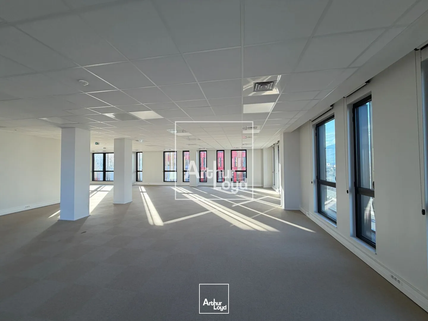 Bureaux - Location - GRENOBLE - 38000 - 216.93-3685.56 - 7668199