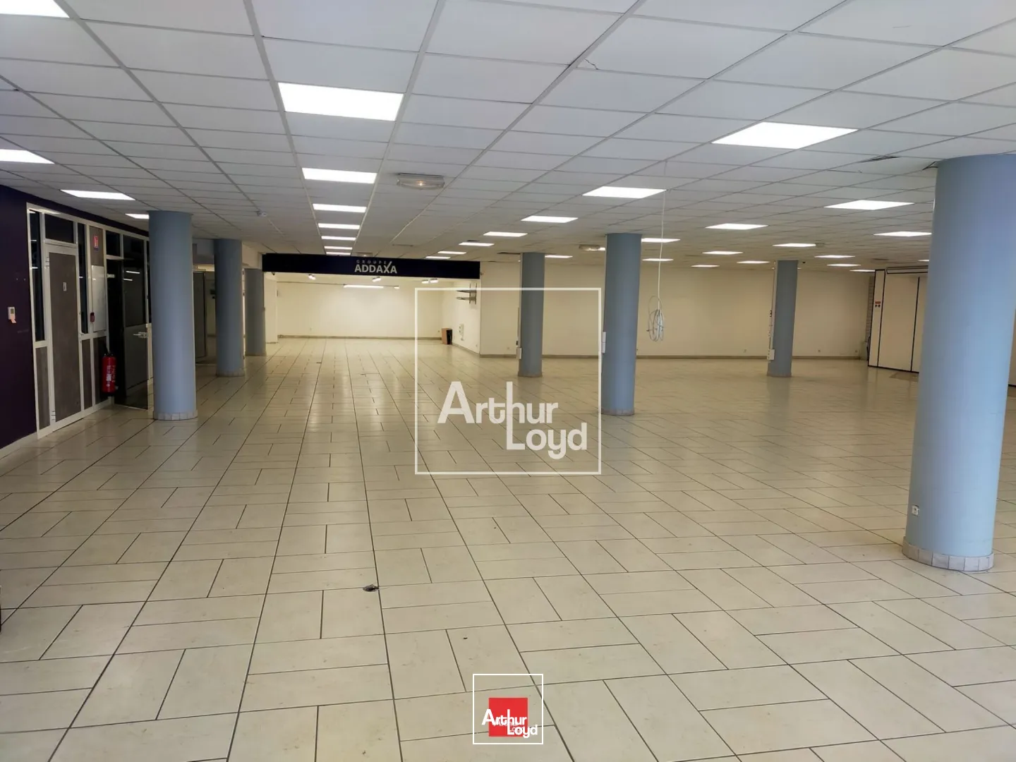 Locaux commerciaux - Location - SAINT MARTIN LE VINOUX - 38950 - 553.7-553.7 - 7668252