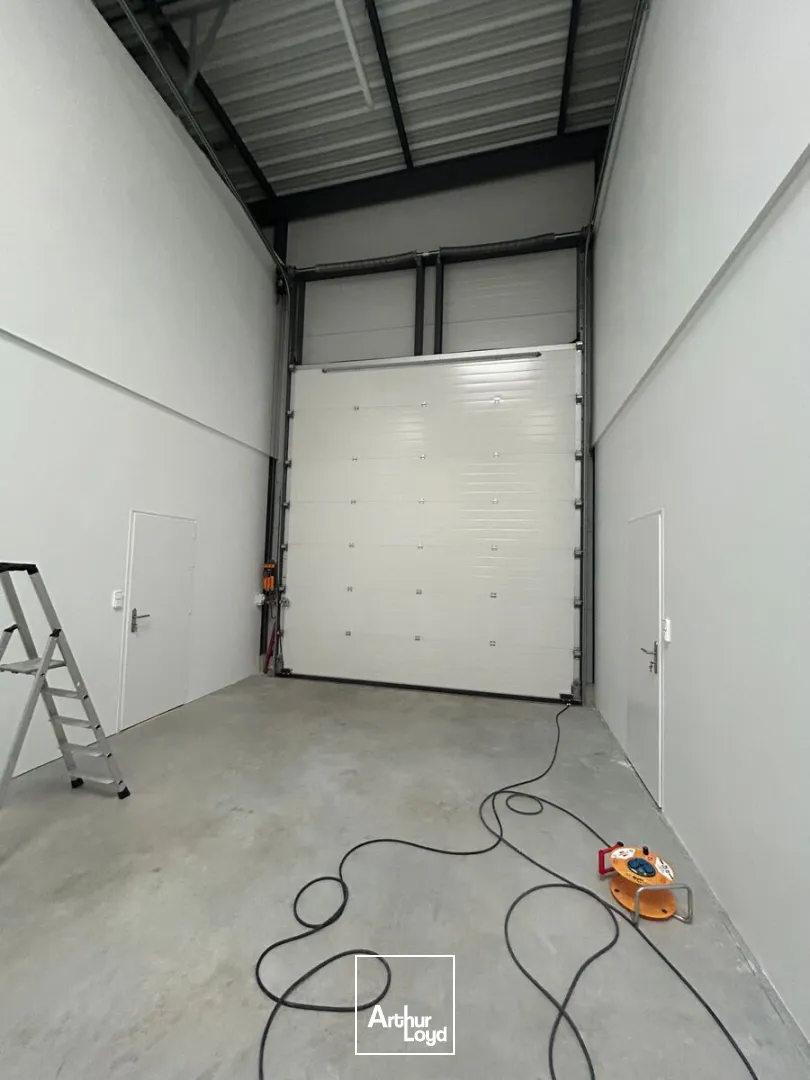 Locaux d'activité & Entrepôts - Location - VIGNEUX DE BRETAGNE - 44360 - 300-300 - 7668400