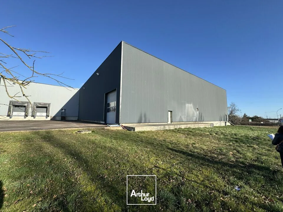 Locaux d'activité & Entrepôts - Vente - DIJON - 21000 - 4412-4412 - 7668869