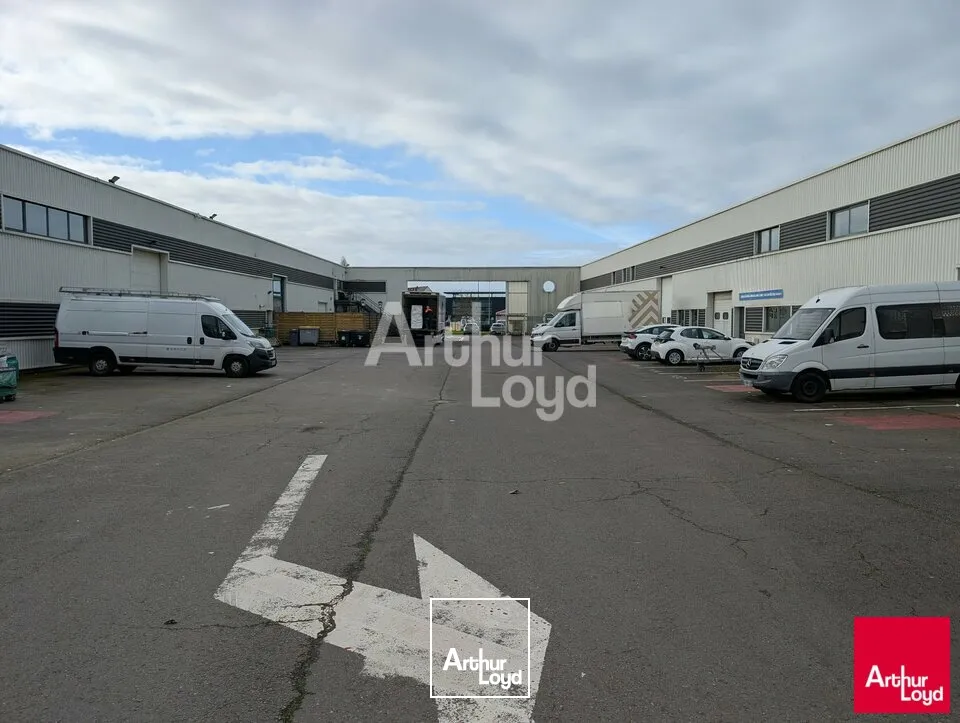 Locaux d'activité & Entrepôts - Location - CHARTRES-DE-BRETAGNE - 35131 - 260-260 - 7668917
