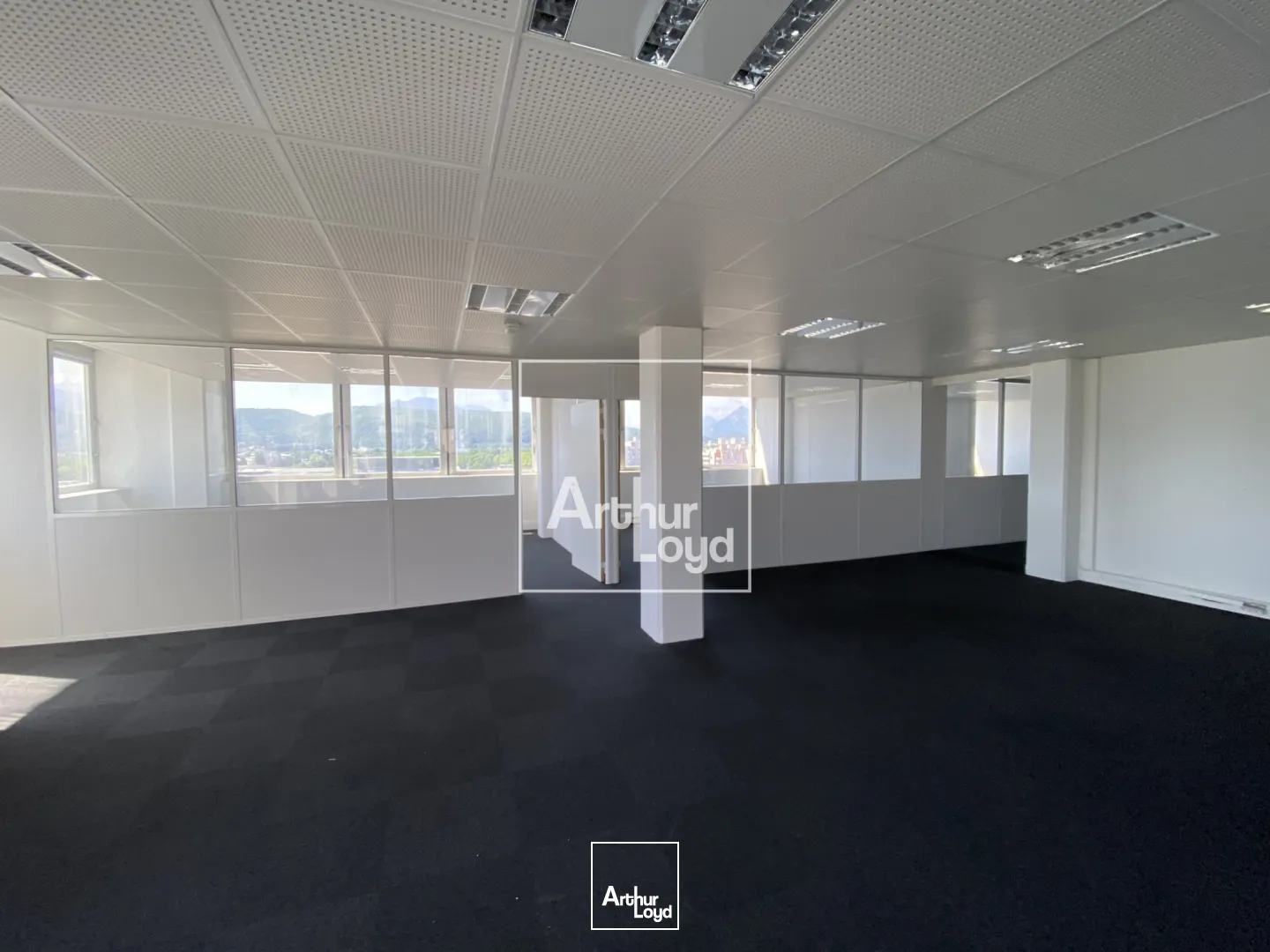 Bureaux - Location - GRENOBLE - 38100 - 16.65-6175.22 - 7669131