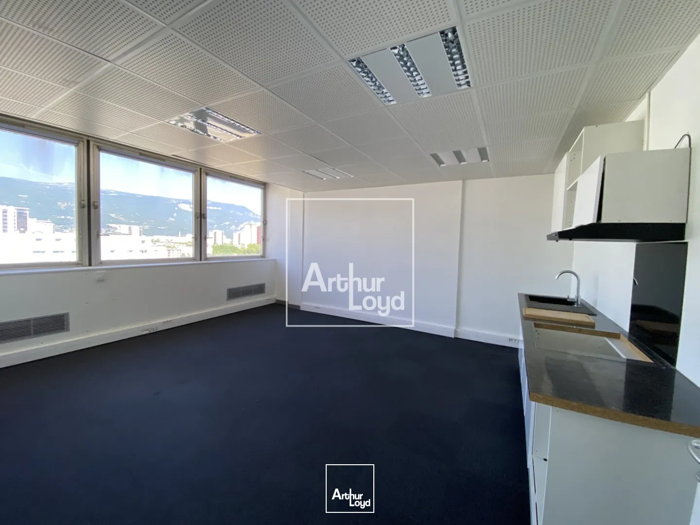 Bureaux - Location - GRENOBLE - 38100 - 16.65-6175.22 - 7669129
