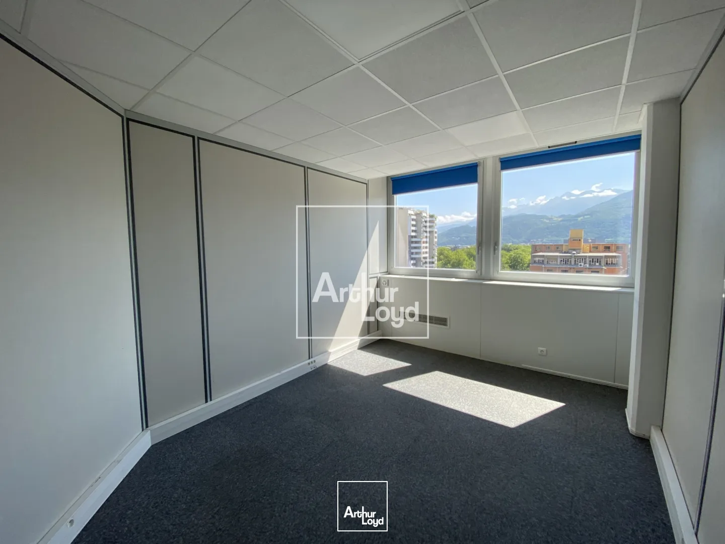 Bureaux - Location - GRENOBLE - 38100 - 16.65-6175.22 - 7669127